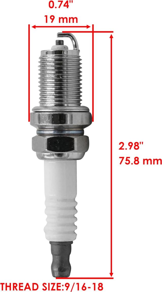Where to find Ignition Coil w Spark Plug in Concord